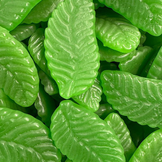 Maycey's Giant Spearmint Leaves